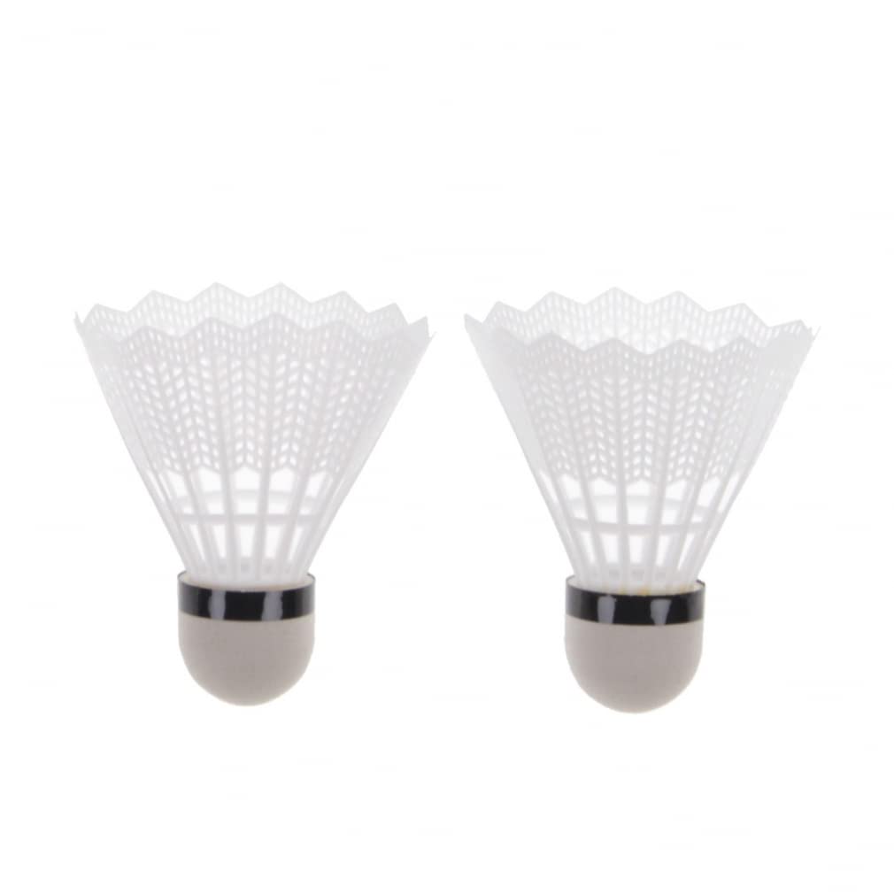 Amazon | IGNIO(イグニオ) バドミントン 2本組 ラケットセット